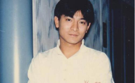 劉德華為什么要試管(劉德華試管幾次成功)