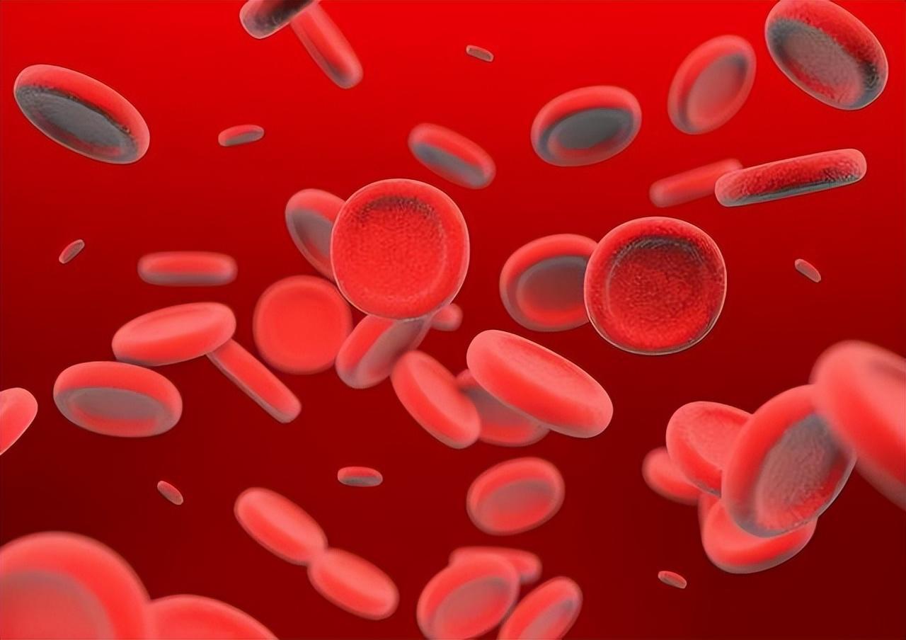 淋巴細(xì)胞比率偏高是什么意思(淋巴細(xì)胞比率偏高是什么意思怎么治)