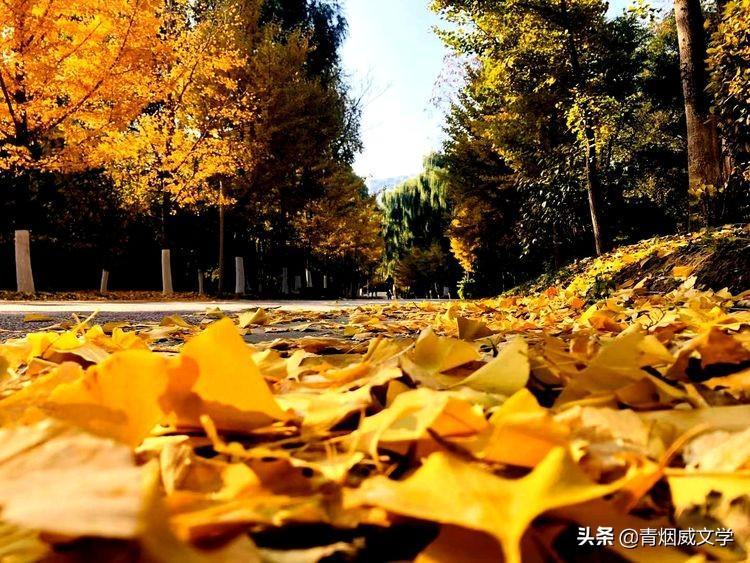 2021立冬節(jié)氣的古詩有哪些(2021立冬節(jié)氣的古詩)