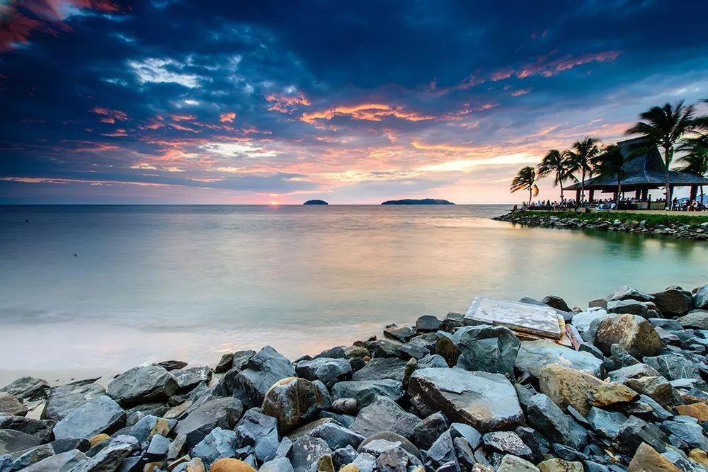 什么是單反數碼相機(數碼相機單反是什么意思)