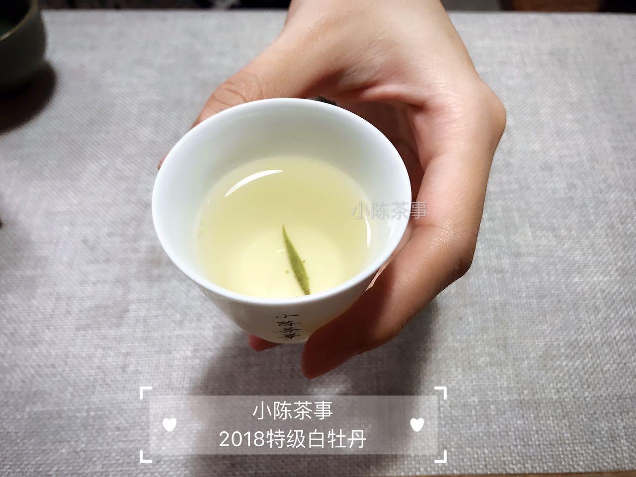 關于白茶簡介(白茶是什么茶類)