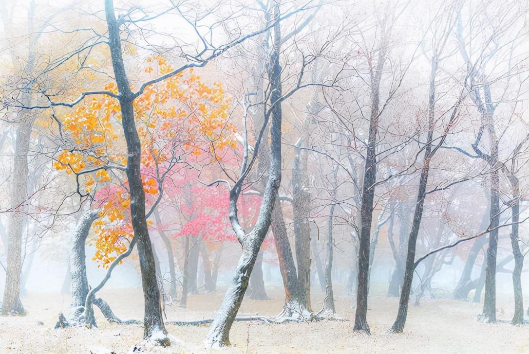 熱文2021立冬節(jié)氣的古詩(shī)有哪些(2021立冬節(jié)氣的古詩(shī))