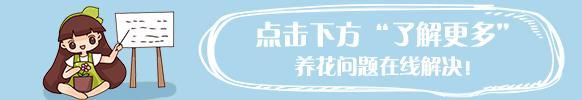 衛(wèi)生間異味找不到原因(衛(wèi)生間異味找不到原因分析)