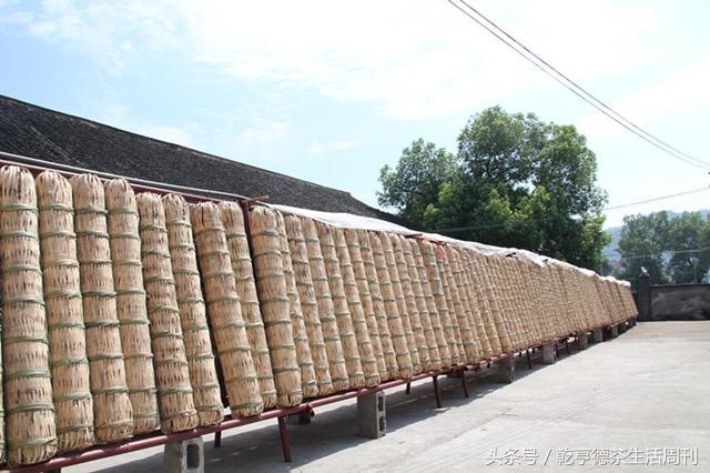 什么是磚茶(磚茶是什么茶)