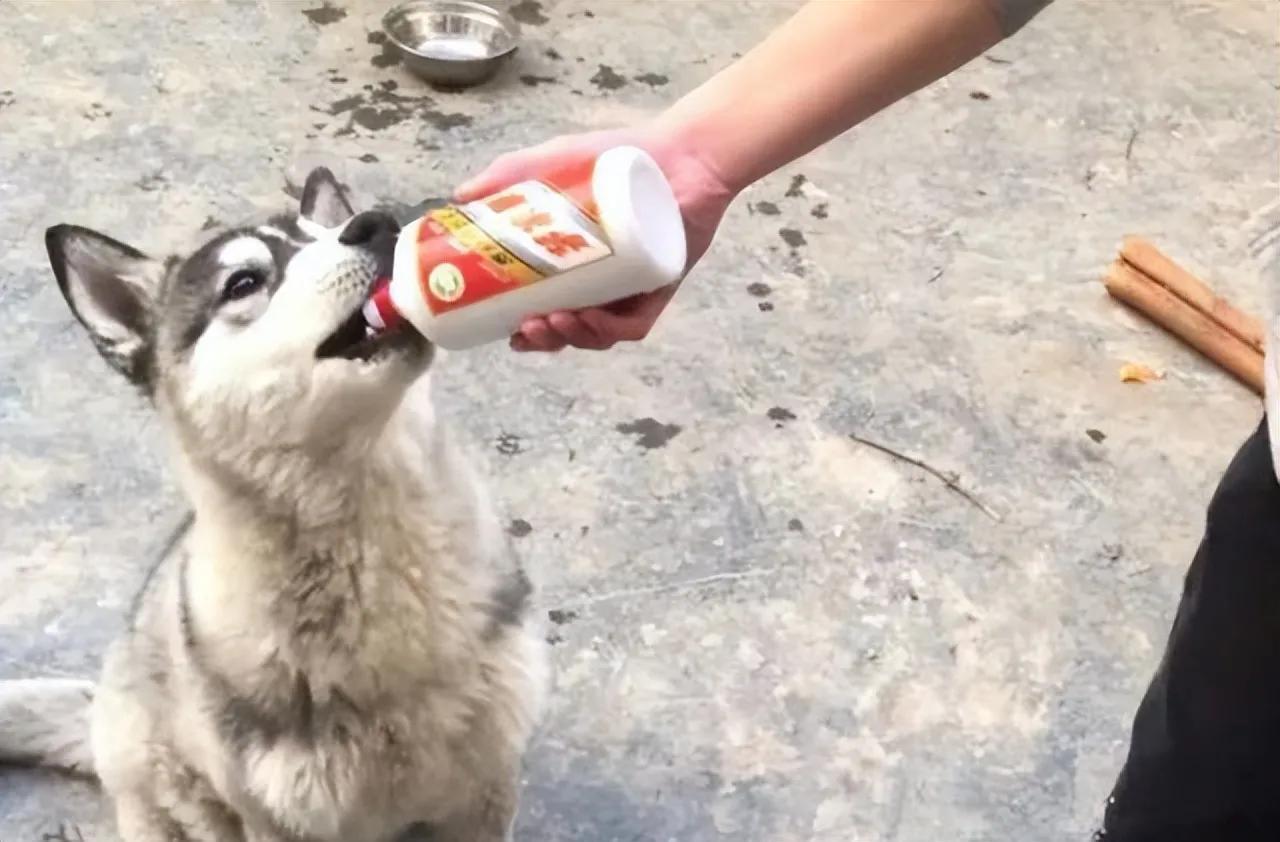 茅臺品牌溢價(茅臺溢價多少)