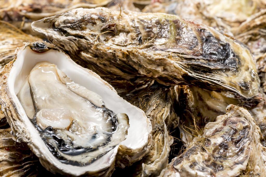 生蠔怎么清洗內臟圖解(生蠔怎么清洗內臟圖解蠔)