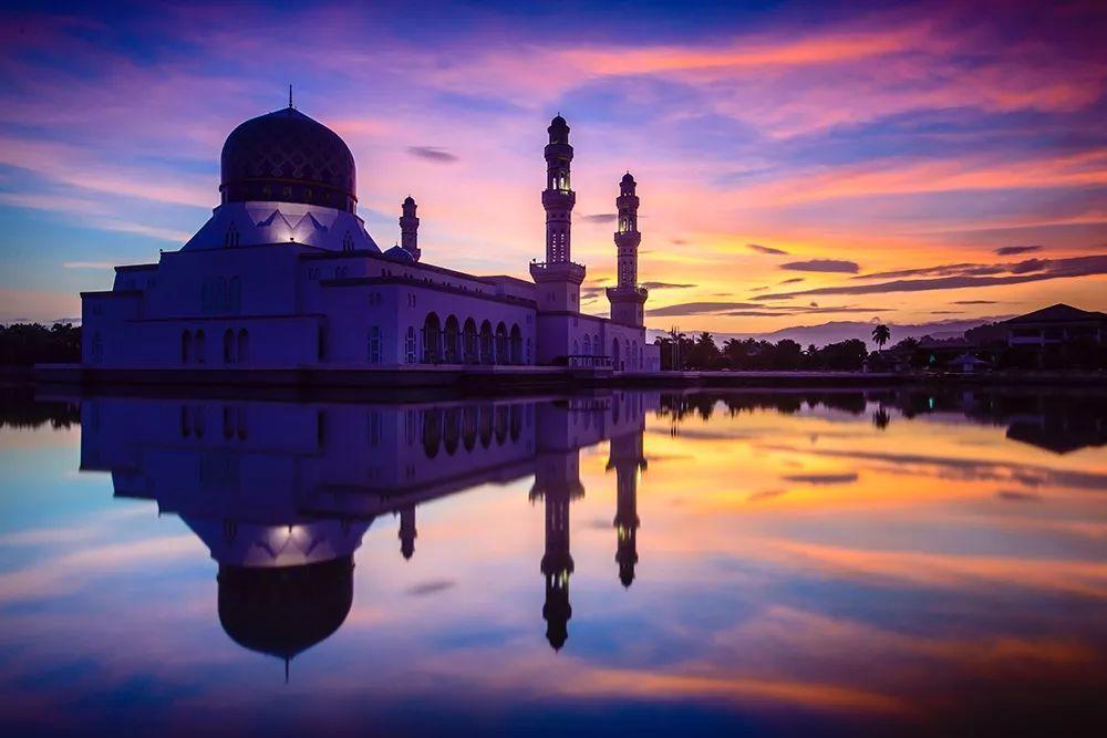 什么是單反數碼相機(數碼相機單反是什么意思)