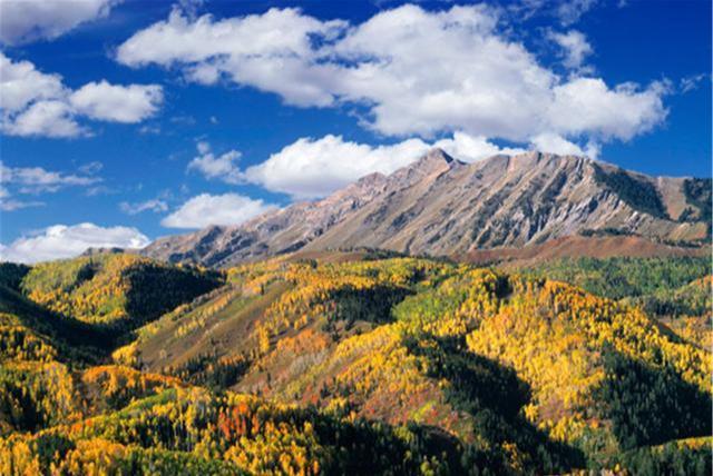 魯山山行原文內(nèi)容及翻譯(霜落熊升樹林空鹿飲溪全詩翻譯)