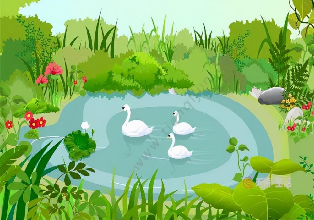 熱文詠鵝里面表示動作的詞(詠鵝里面表示動作的詞有哪些)