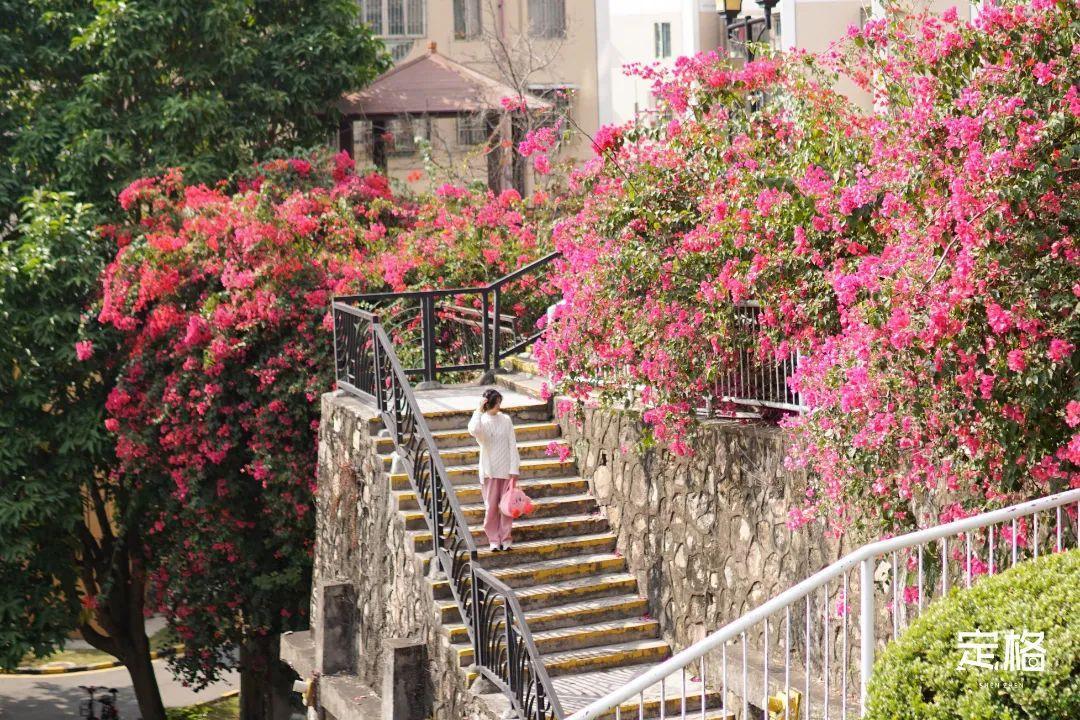 深圳哪里好玩(深圳必須去的50個地方)