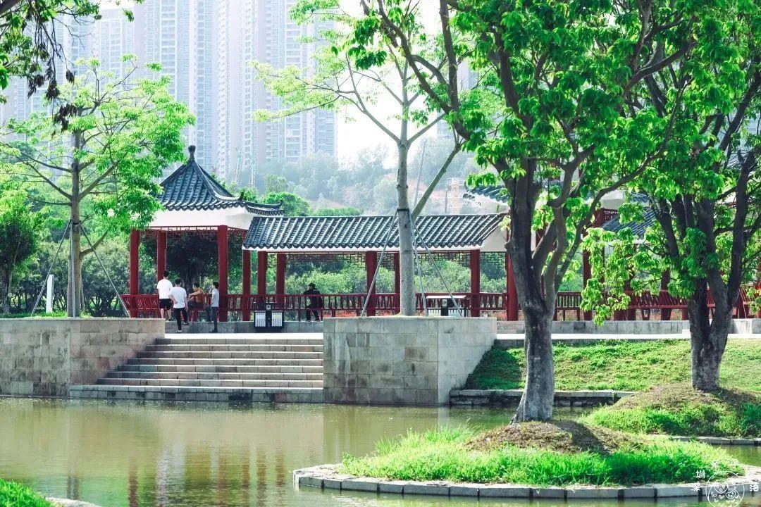 深圳地鐵線路圖 深圳地鐵2022年線路圖