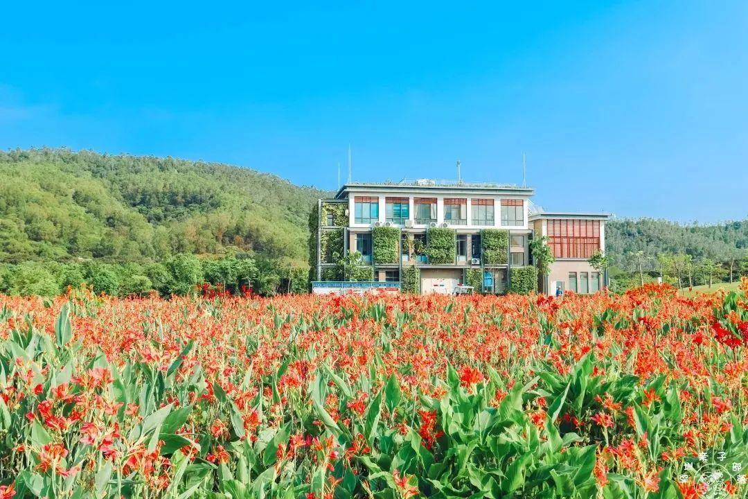 深圳地鐵線路圖 深圳地鐵2022年線路圖