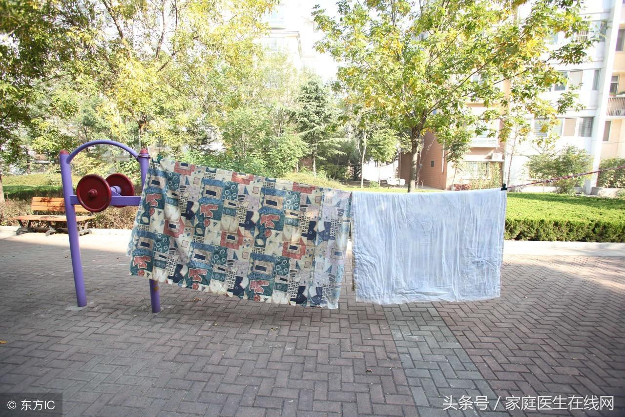 螨蟲最怕這3種東西（3招助你“消滅”螨蟲）