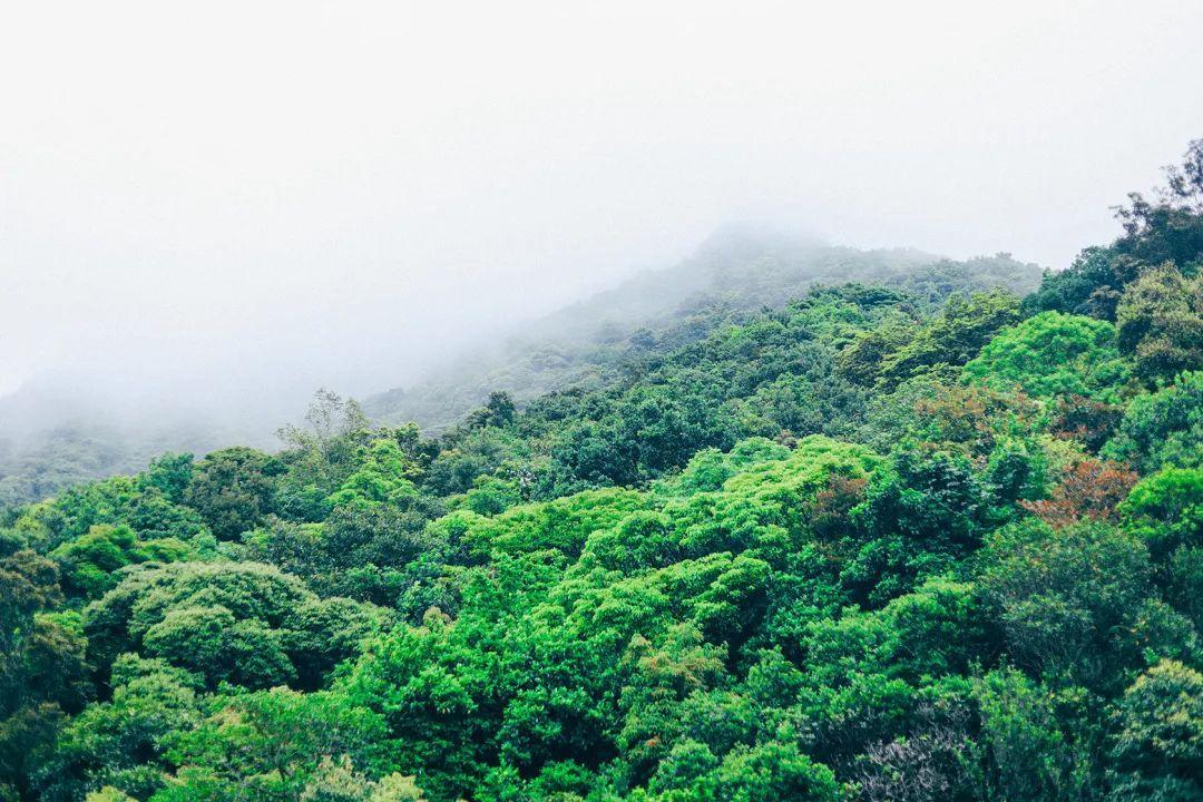 深圳哪里好玩(深圳必須去的50個地方)