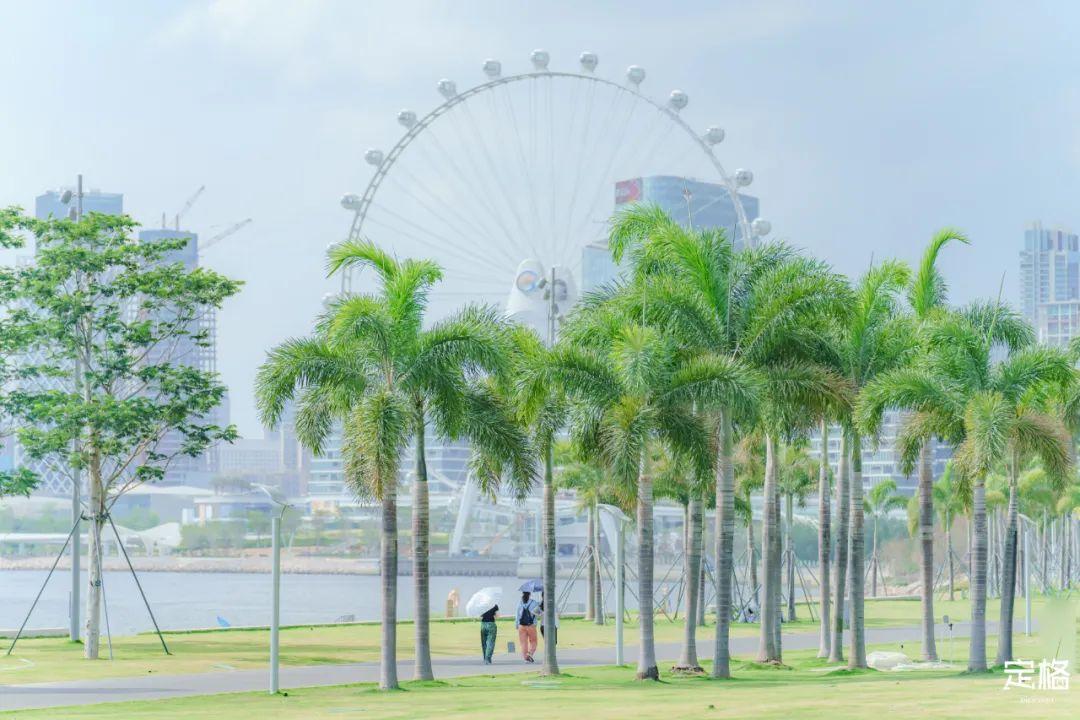 深圳哪里好玩(深圳必須去的50個地方)