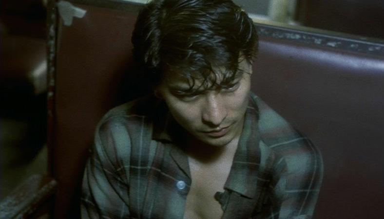 劉德華為什么怕老鼠(人為什么怕老鼠)