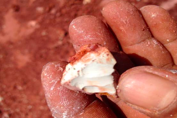 觀音土是什么 古代觀音土是什么