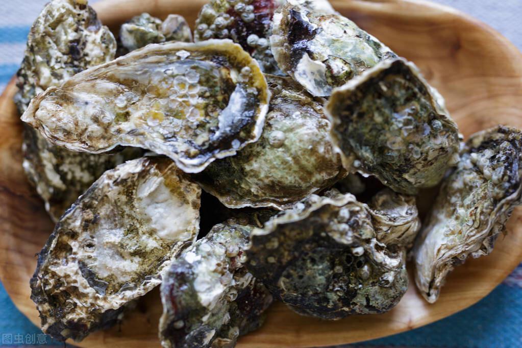 生蠔怎么清洗內臟圖解(生蠔怎么清洗內臟圖解蠔)