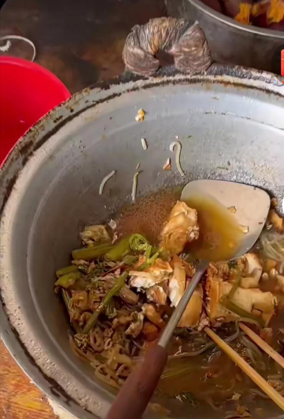 生了八個孩子的河南家庭(河南生八個孩子的名字)