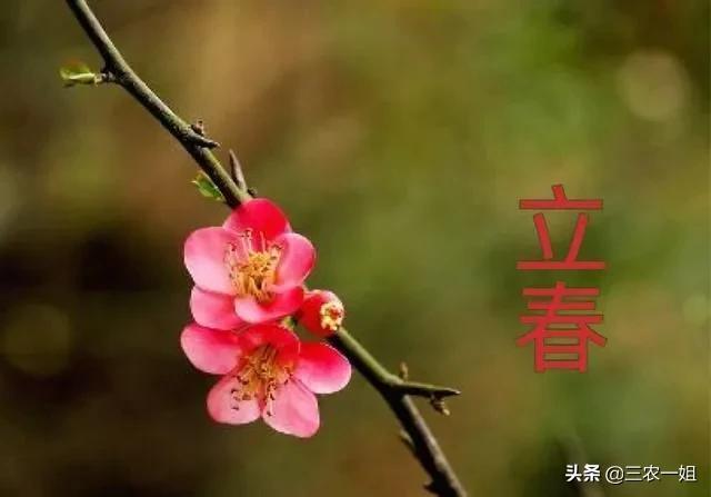 立春為什么不能在床上(立春為什么不能在床上躺著)