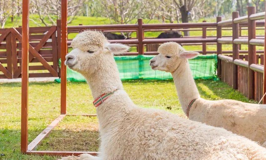 密云旅游景點大全 密云區自駕免費景點