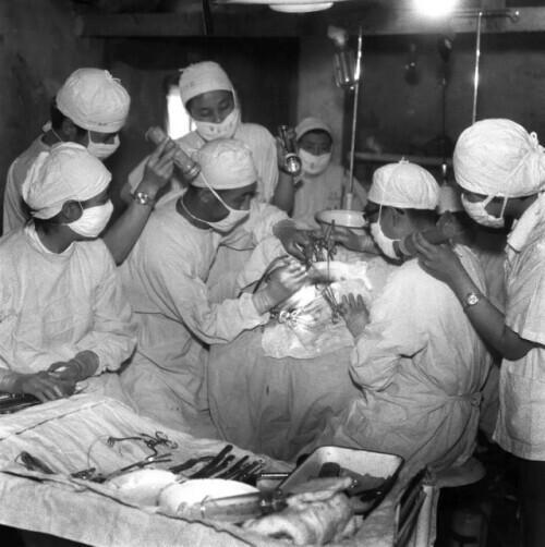 災難的典故和意義到底是什么(災難的典故和意義)