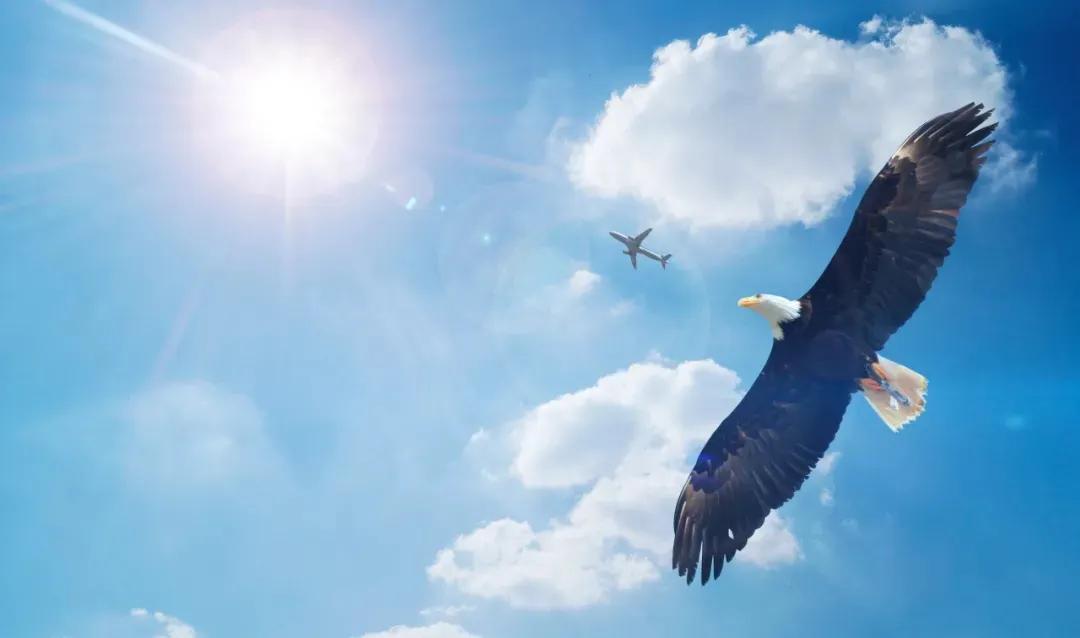 我的未來不是夢(mèng)演講稿 我的未來不是夢(mèng)主題演講稿