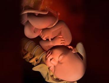 開指快慢和什么有關(開指快慢跟什么有關)