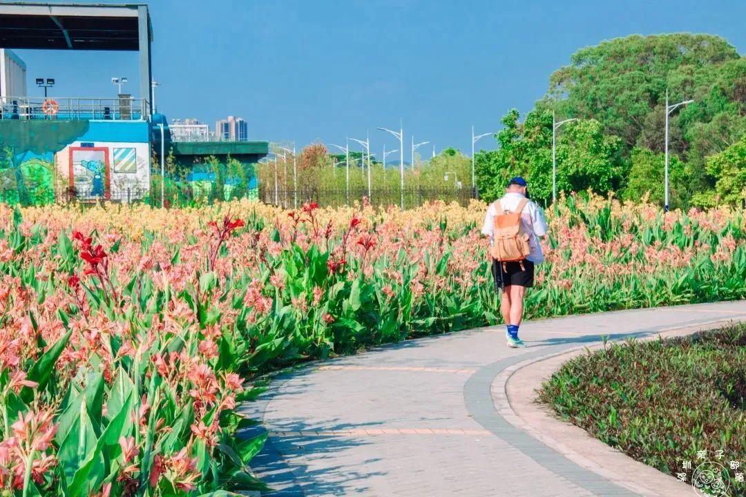 深圳地鐵線路圖 深圳地鐵2022年線路圖