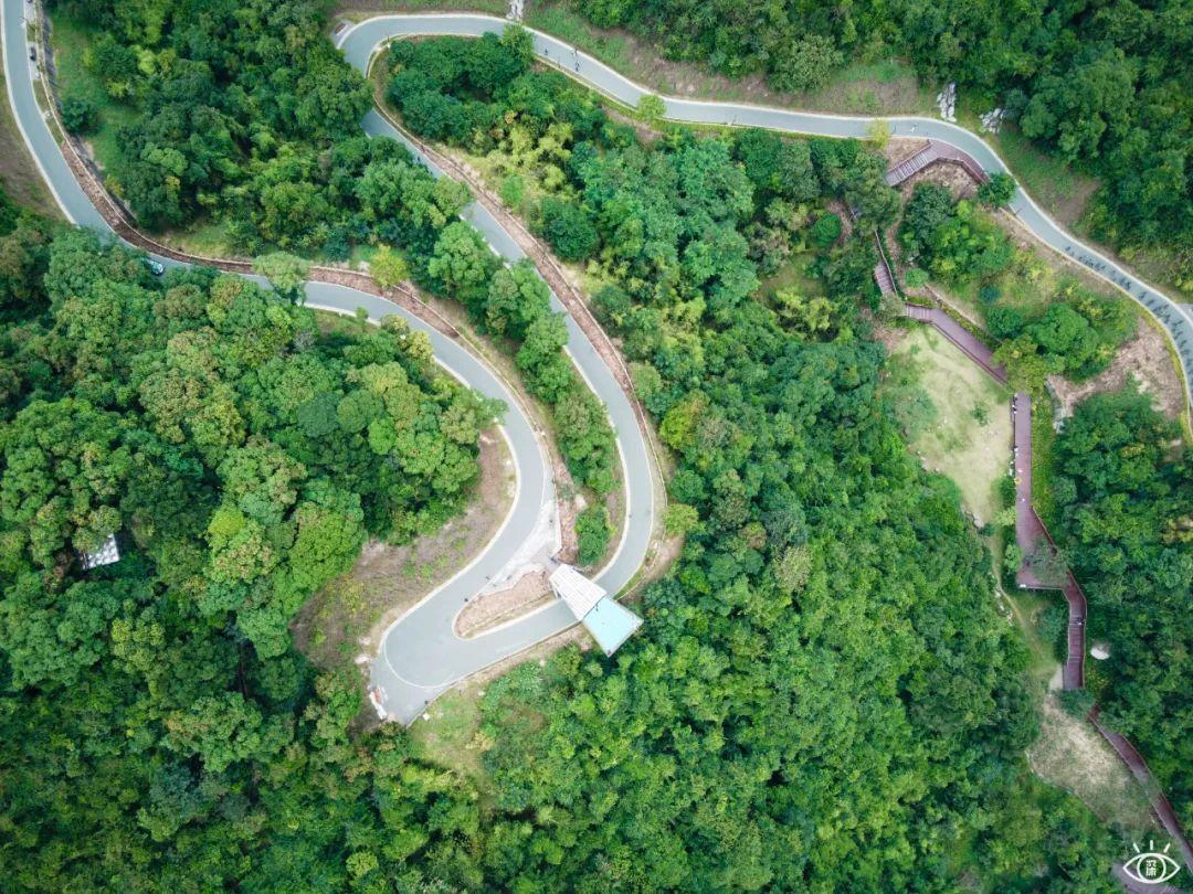深圳哪里好玩(深圳必須去的50個地方)