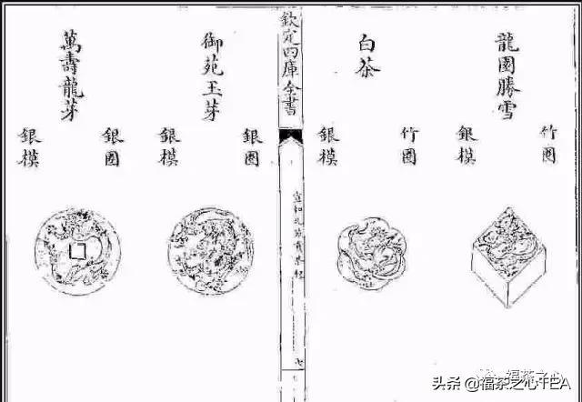 熱文關于白茶簡介(白茶是什么茶類)