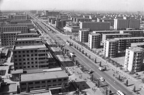 災難的典故和意義到底是什么(災難的典故和意義)