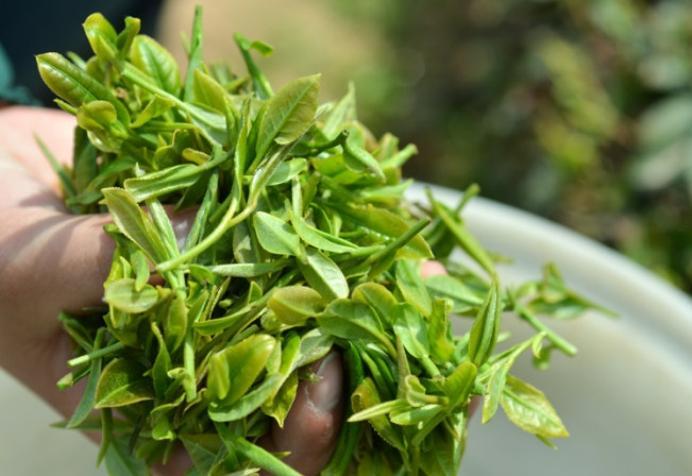 山東有什么特產(chǎn)(山東土特產(chǎn)有哪些產(chǎn)品)