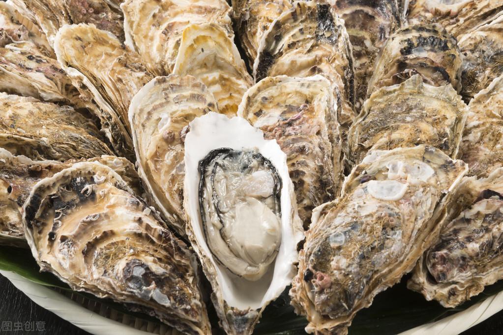生蠔怎么清洗內臟圖解(生蠔怎么清洗內臟圖解蠔)