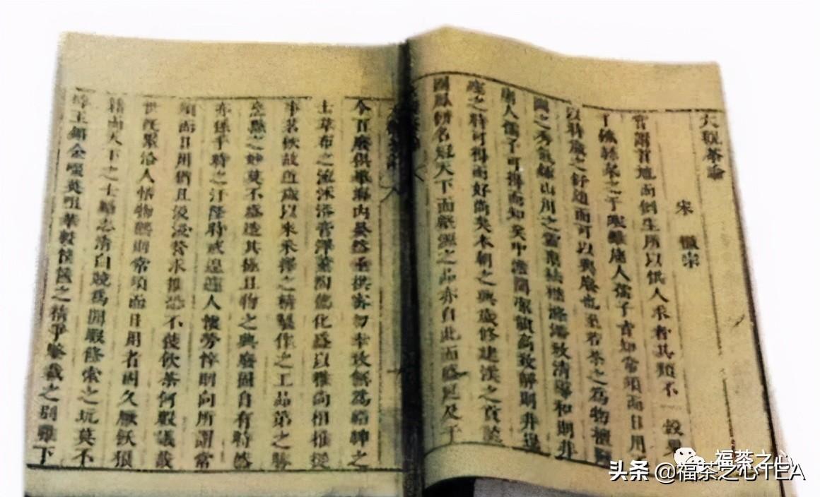 熱文關于白茶簡介(白茶是什么茶類)