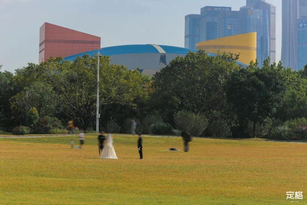 深圳哪里好玩(深圳必須去的50個地方)