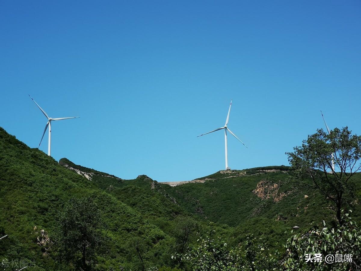 楯的意思(楯怎么讀)