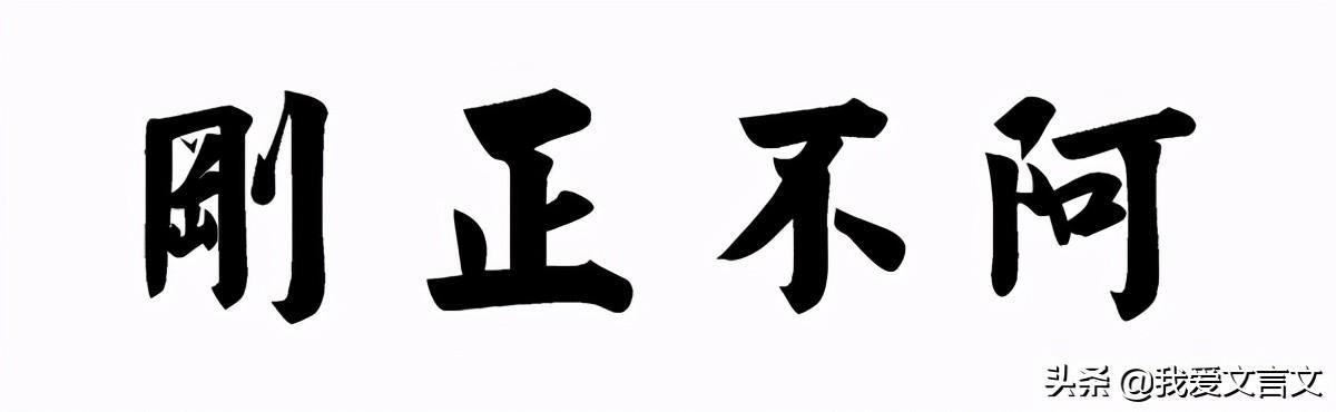 猱的意思(猱怎么讀)
