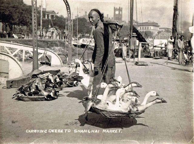 美國人民生活現狀(1921年中國人民生活現狀)