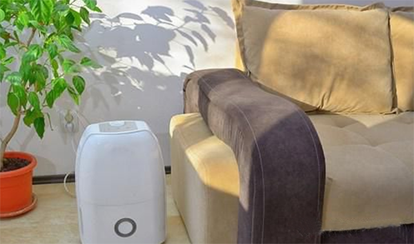 梅雨季節(梅雨季節房間潮濕怎么能讓干燥)