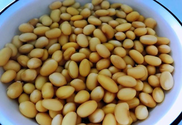 小米打豆漿加什么好喝(小米加什么打豆漿最好喝)