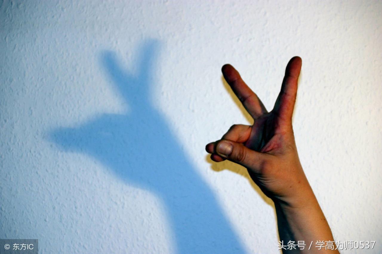 綠肥紅瘦是什么季節(jié)的景色(李清照詞中綠肥紅瘦是什么季節(jié)的景色)