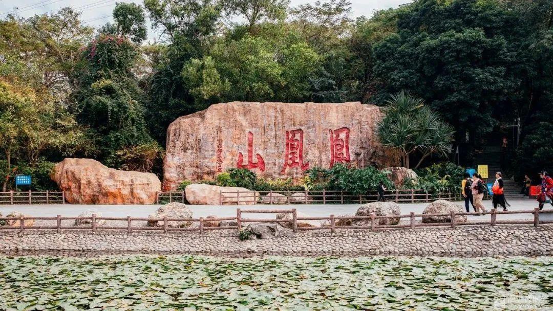 深圳地鐵線路圖 深圳地鐵2022年線路圖