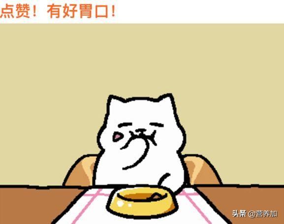 番茄沙司做面條的方法(番茄沙司怎么做面條)