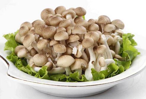 長時間存放蟹味菇的方法(蟹味菇如何保存時間長)