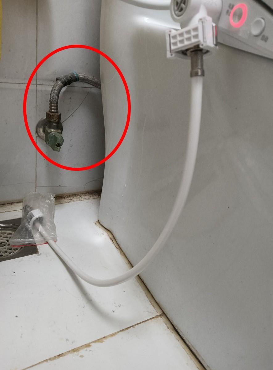 蛇為什么會鉆進馬桶(蛇為什么會從馬桶里鉆出來)