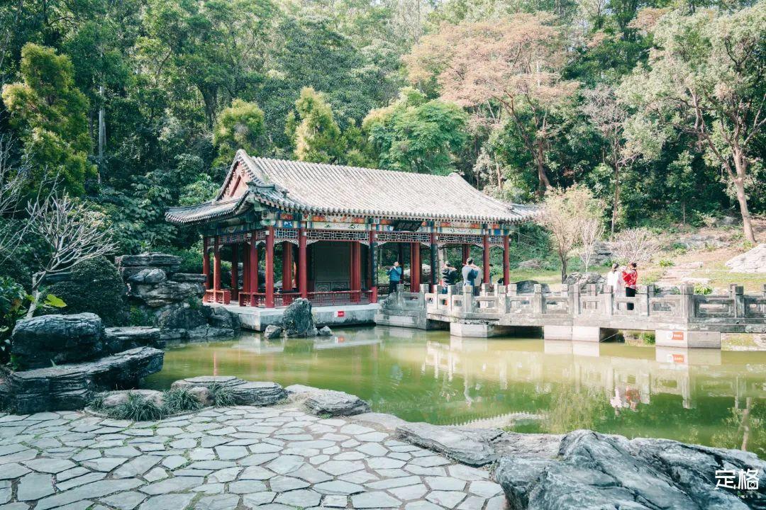 深圳哪里好玩(深圳必須去的50個地方)