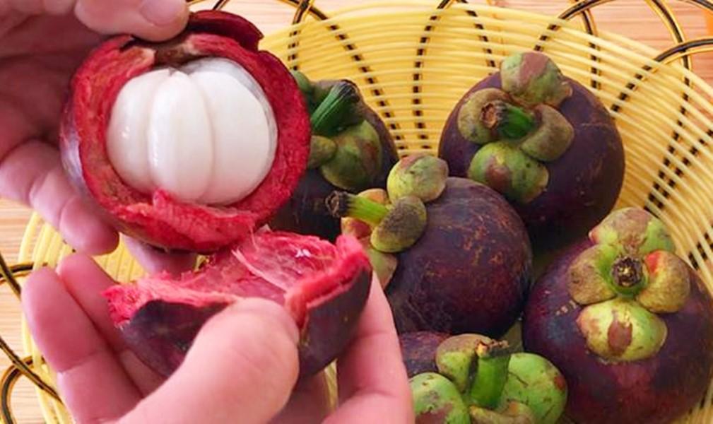 山竹里面黃黃的是什么可以吃嗎?水果店老板:不懂的人買的山竹白吃了