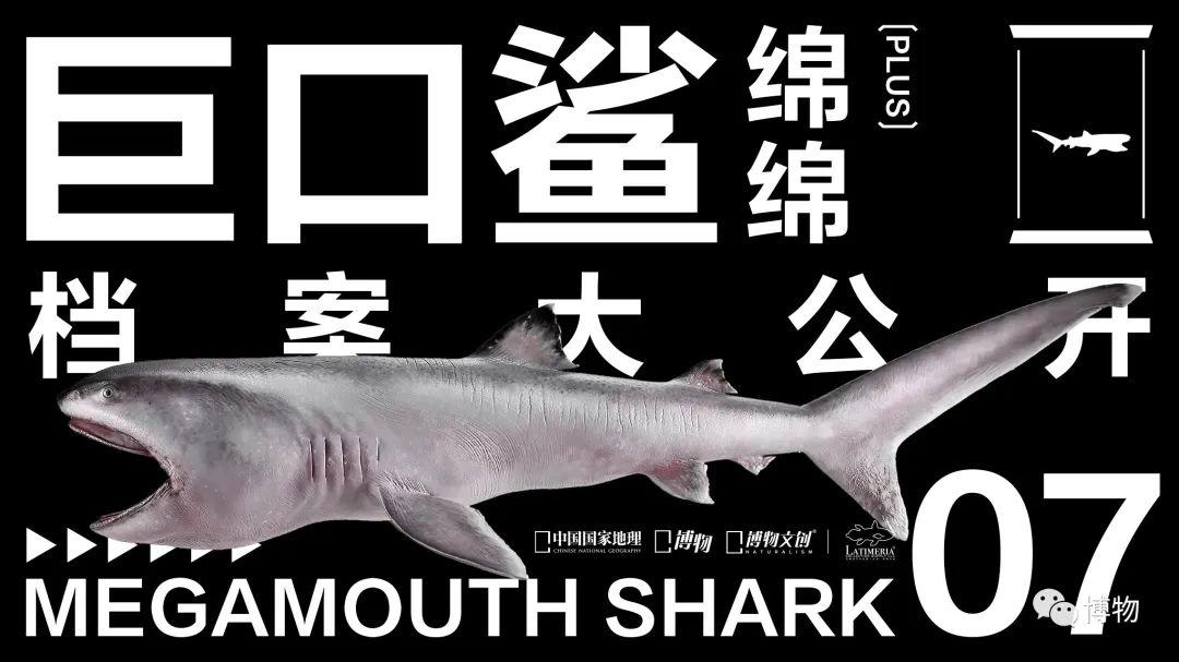 卵生與胎生的區(qū)別(卵生與胎生的區(qū)別在哪里)