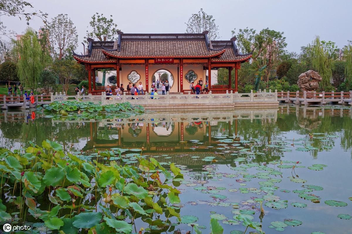 檵字具體怎么讀(檵怎么讀)